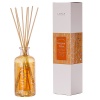 DIFFUSORE CON BASTONCINI - NETTARE DI PESCA/PEACH BEACH  - 200 ML. - X540403 - METHODO - CODICE 104763