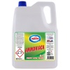 AMMONIACA CLASSICA - 5 LITRi - AMACASA - CODICE 99933